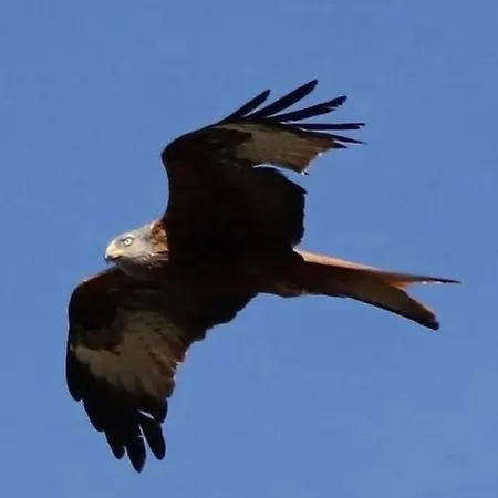 U Sognu Bed & Breakfast 3*